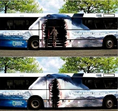 bus_ad_shark