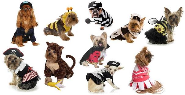 doggycostume